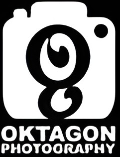 Logo Oktagon